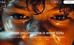 Vidu-AI-Video-Generator