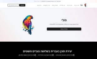 פולי